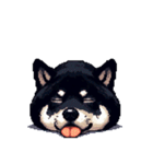 無言で伝える黒柴犬 健康体形（個別スタンプ：9）
