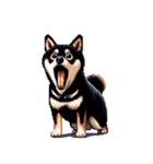 無言で伝える黒柴犬 健康体形（個別スタンプ：18）
