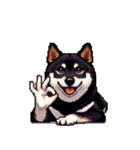 無言で伝える黒柴犬 健康体形（個別スタンプ：26）