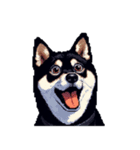 無言で伝える黒柴犬 健康体形（個別スタンプ：32）