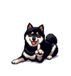 無言で伝える黒柴犬 健康体形（個別スタンプ：35）