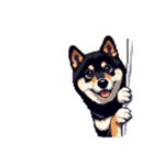 無言で伝える黒柴犬 健康体形（個別スタンプ：39）