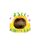 チョコくんスタンプ 2（個別スタンプ：1）