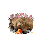 チョコくんスタンプ 2（個別スタンプ：2）
