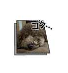 チョコくんスタンプ 2（個別スタンプ：7）