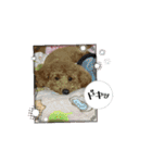チョコくんスタンプ 2（個別スタンプ：12）