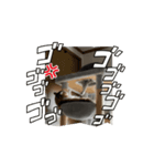 チロ・ココ（個別スタンプ：2）