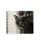 チロ・ココ（個別スタンプ：7）
