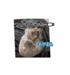 めろんの日常1（個別スタンプ：2）