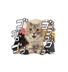 めろんの日常1（個別スタンプ：8）