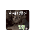 めろんの日常1（個別スタンプ：14）