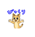 アクションk-gigi17（個別スタンプ：5）