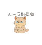 アクションk-gigi17（個別スタンプ：11）