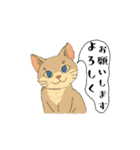 アクションk-gigi17（個別スタンプ：13）
