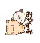 毎日便利なちびネコ（個別スタンプ：31）