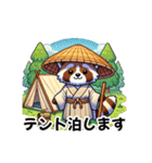 四国お遍路タヌキ君高知寺院土佐パワスポ編（個別スタンプ：13）