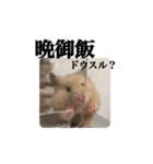 キンクマのぱんちゃん（個別スタンプ：15）