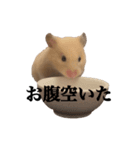 キンクマのぱんちゃん（個別スタンプ：16）