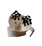 キンクマのぱんちゃん（個別スタンプ：22）