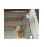 原田ぷるの日常その2（個別スタンプ：8）