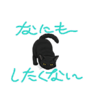 『黒猫』のスタンプ（個別スタンプ：1）