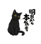 『黒猫』のスタンプ（個別スタンプ：3）