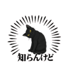 『黒猫』のスタンプ（個別スタンプ：5）