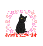 『黒猫』のスタンプ（個別スタンプ：6）