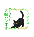『黒猫』のスタンプ（個別スタンプ：7）