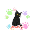『黒猫』のスタンプ（個別スタンプ：10）
