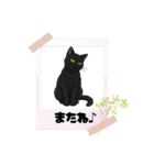 『黒猫』のスタンプ（個別スタンプ：17）