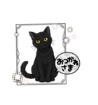 『黒猫』のスタンプ（個別スタンプ：22）