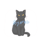 『黒猫』のスタンプ（個別スタンプ：34）