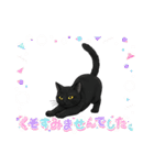 『黒猫』のスタンプ（個別スタンプ：35）