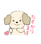塩で味付けされた優しい言葉JW（個別スタンプ：20）