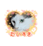 病みネコ1（個別スタンプ：3）