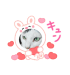 病みネコ1（個別スタンプ：7）
