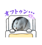 病みネコ1（個別スタンプ：8）