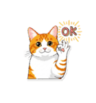 白茶猫シーちゃんの鳴き声3（個別スタンプ：1）