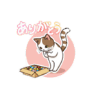 白茶猫シーちゃんの鳴き声3（個別スタンプ：2）