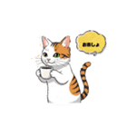白茶猫シーちゃんの鳴き声3（個別スタンプ：7）