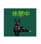 朝の挨拶中心の犬スタンプ（個別スタンプ：2）