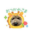 チョコとハムスターのスタンプ 4（個別スタンプ：4）