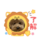 チョコとハムスターのスタンプ 4（個別スタンプ：5）