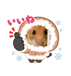 チョコとハムスターのスタンプ 4（個別スタンプ：6）