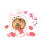 チョコとハムスターのスタンプ 4（個別スタンプ：7）