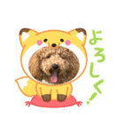 チョコとハムスターのスタンプ 4（個別スタンプ：8）