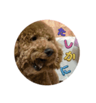 チョコとハムスターのスタンプ 4（個別スタンプ：18）