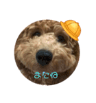チョコとハムスターのスタンプ 4（個別スタンプ：19）
