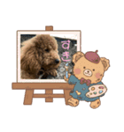 チョコとハムスターのスタンプ 4（個別スタンプ：23）